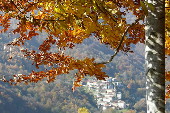 vista VAlle Cervo