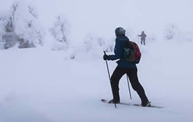 Snowshoeing