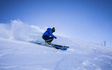 Alpine or Nordic skiing